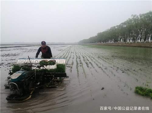 1660546360265823.jpeg 3.jpeg