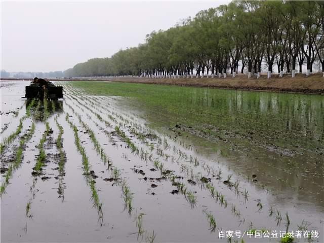 1660546369225222.jpeg 4.jpeg